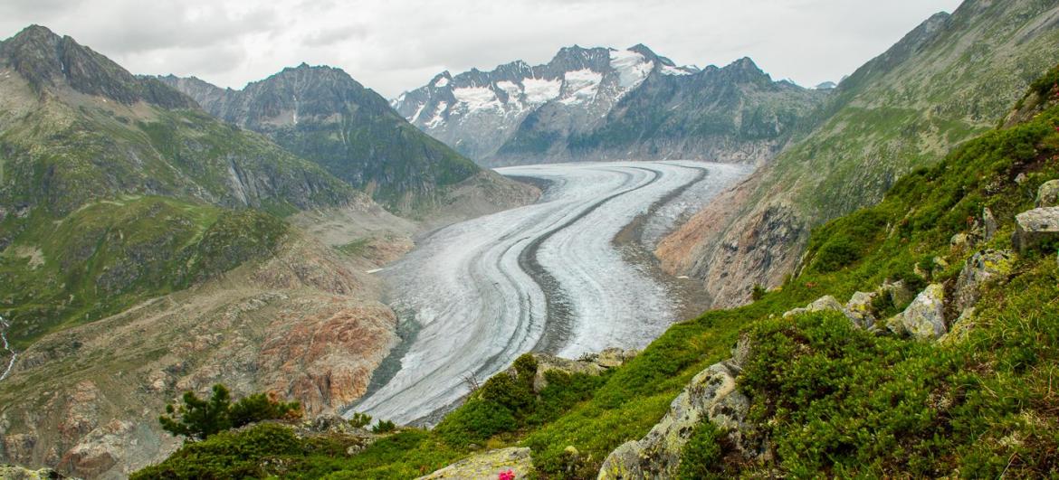 Aletschgletscher Glacier