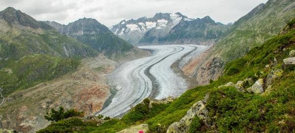 Ledovec Aletschgletscher