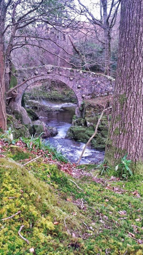 Foley´s bridge