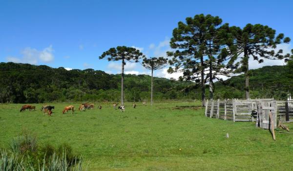 Serra Gauchá