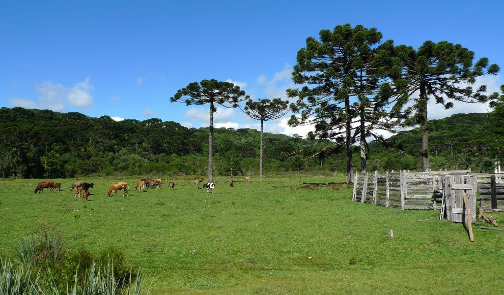 Serra Gauchá