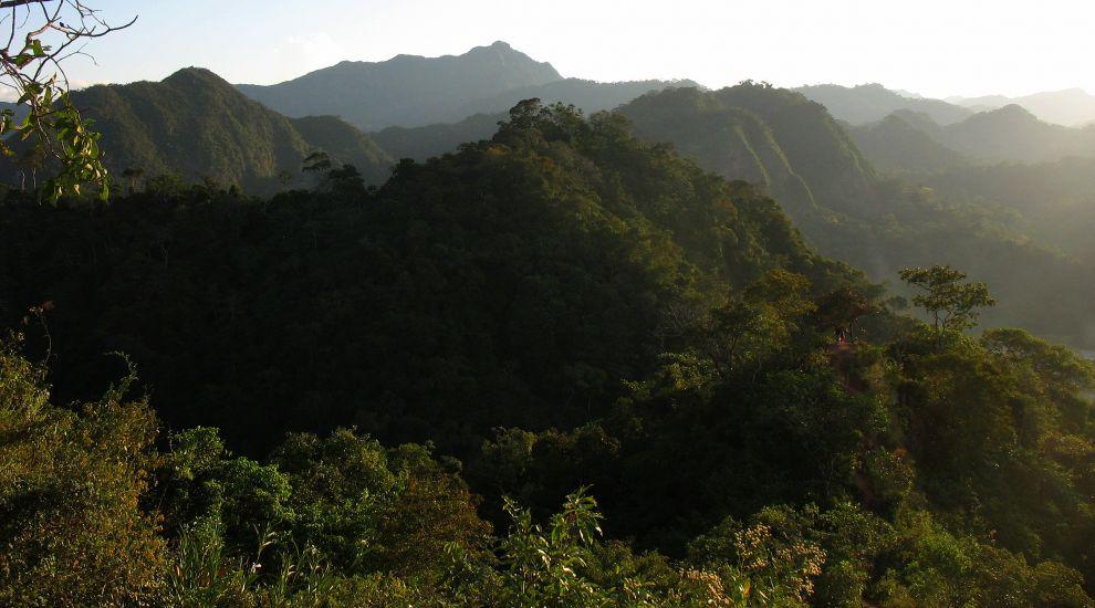 Mirador v Rurre