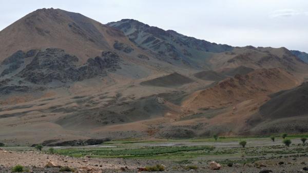 Rozhledy