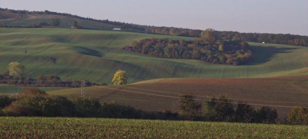 Moravian Tuscany