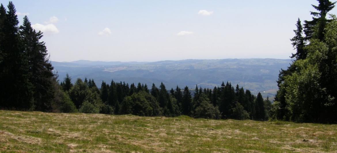 Poľana