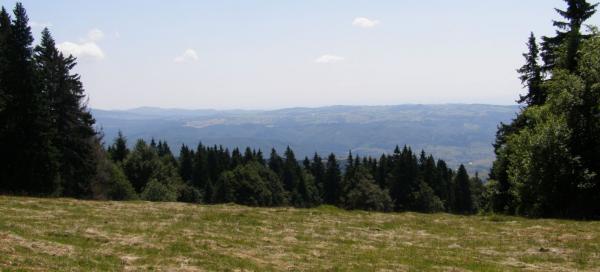 Poľana