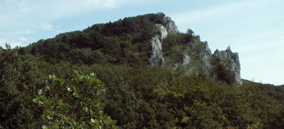 Malé Karpaty