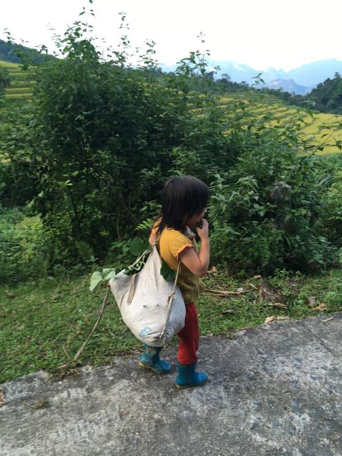 Ha Thanh Village