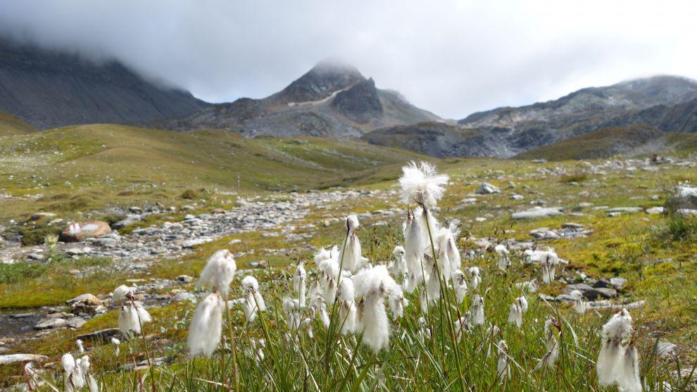 Fenêtre de Ferret (2698 m n. m.) - Col du Grand-Saint-Bernard
