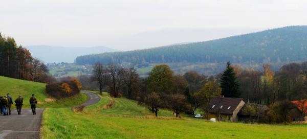 Vojenské Brdy