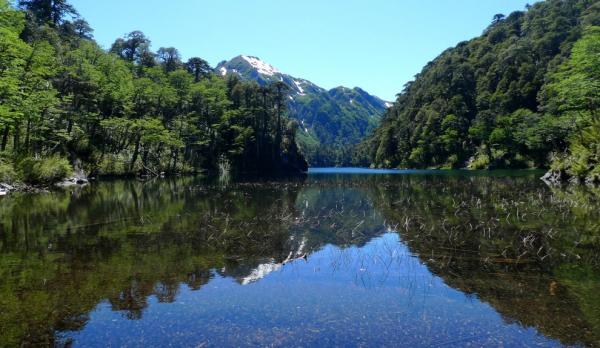 Laguna Chica