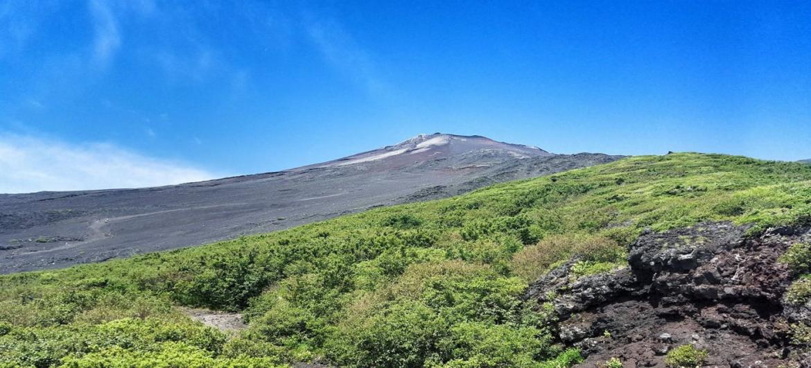 Sopka Fuji