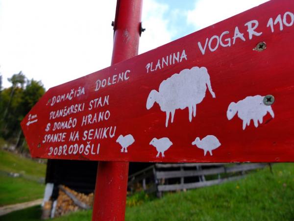 Cesta na Koču na Planini pri Jezeru