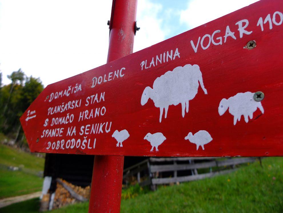 Cesta na Koču na Planini pri Jezeru