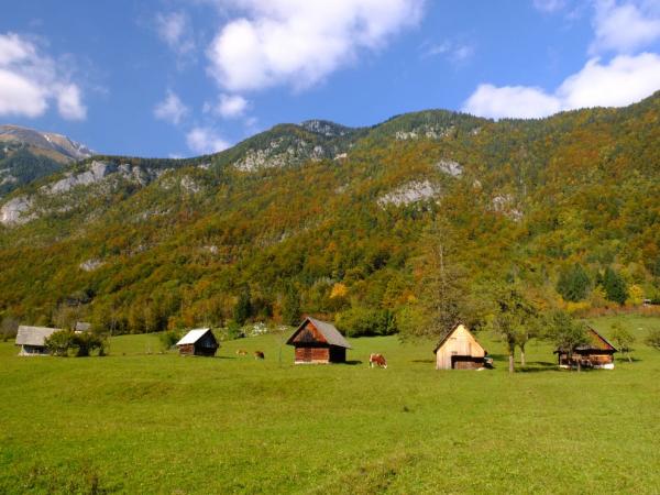 Dolina Voje