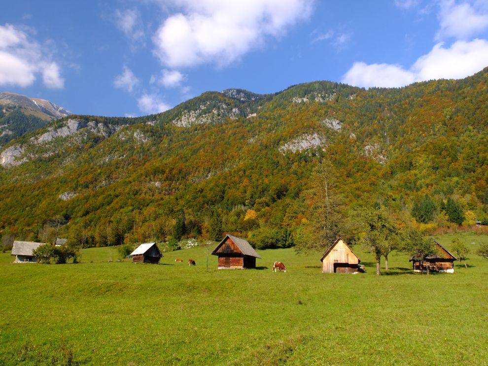 Dolina Voje