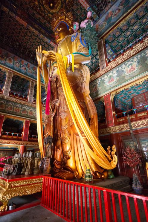 Lama Temple (Yonghegong) - santalový Budha
