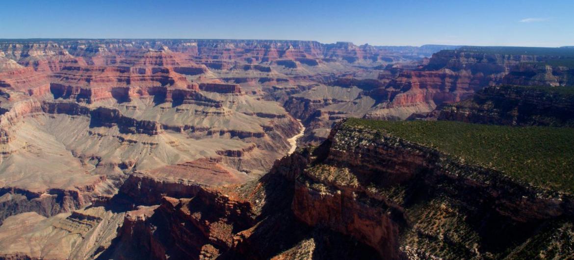 Arizona