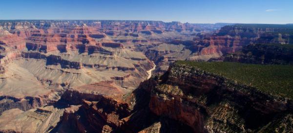 Arizona