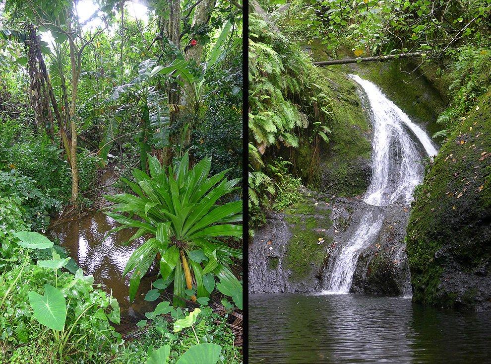 Wigmore's Waterfall