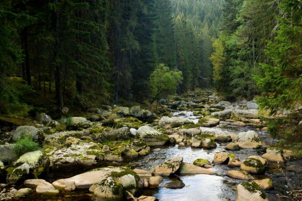 Pohled pod Turnerovou chatou