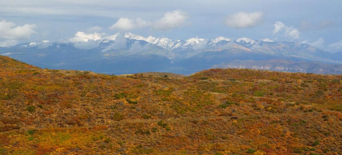 Colorado