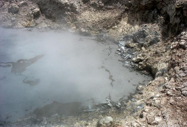 Mud Pools