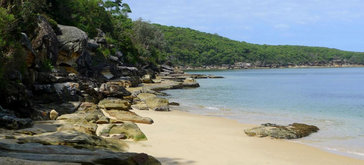 Manly Scenic Walk