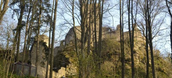 Hrad Choustník
