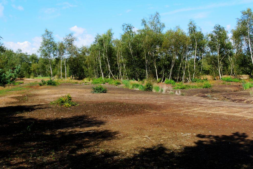 Slatiniště
