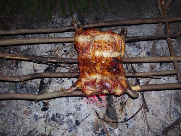 Pásovec