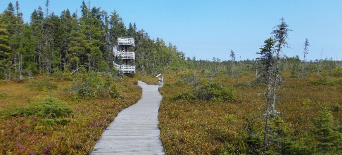 Národní park Kouchibouguac