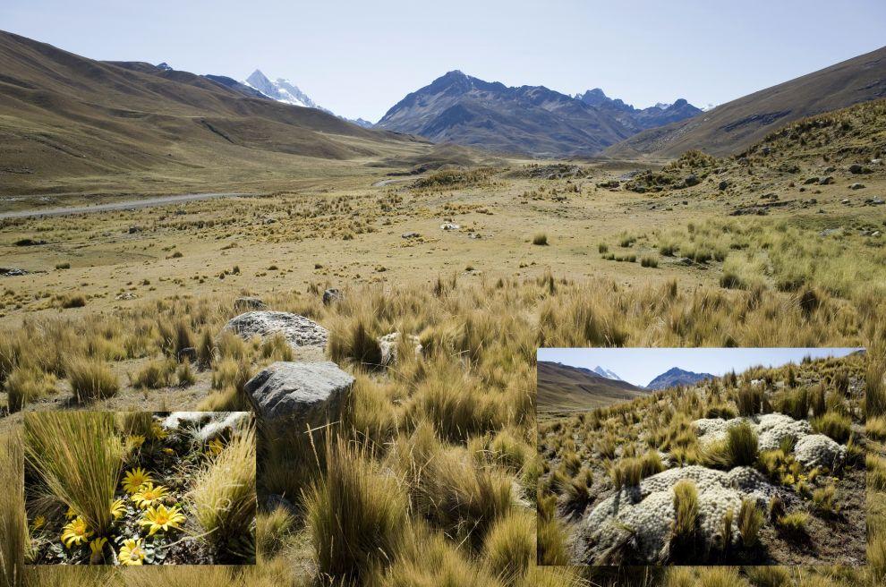 Údolí Rio Pachacoto