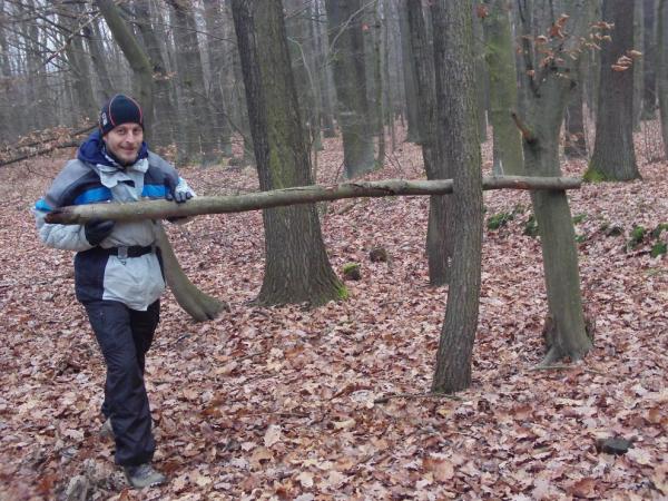 Lámání dlouhé větve pomocí dvou stromů