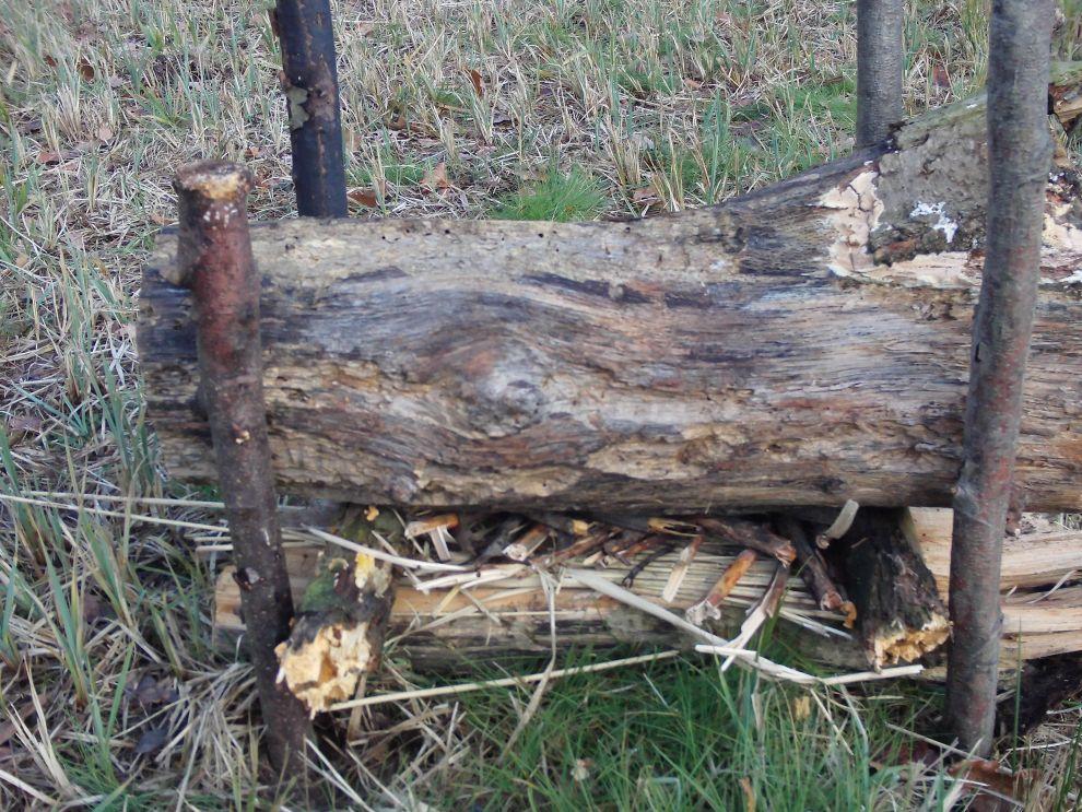 Sibiřský oheň
