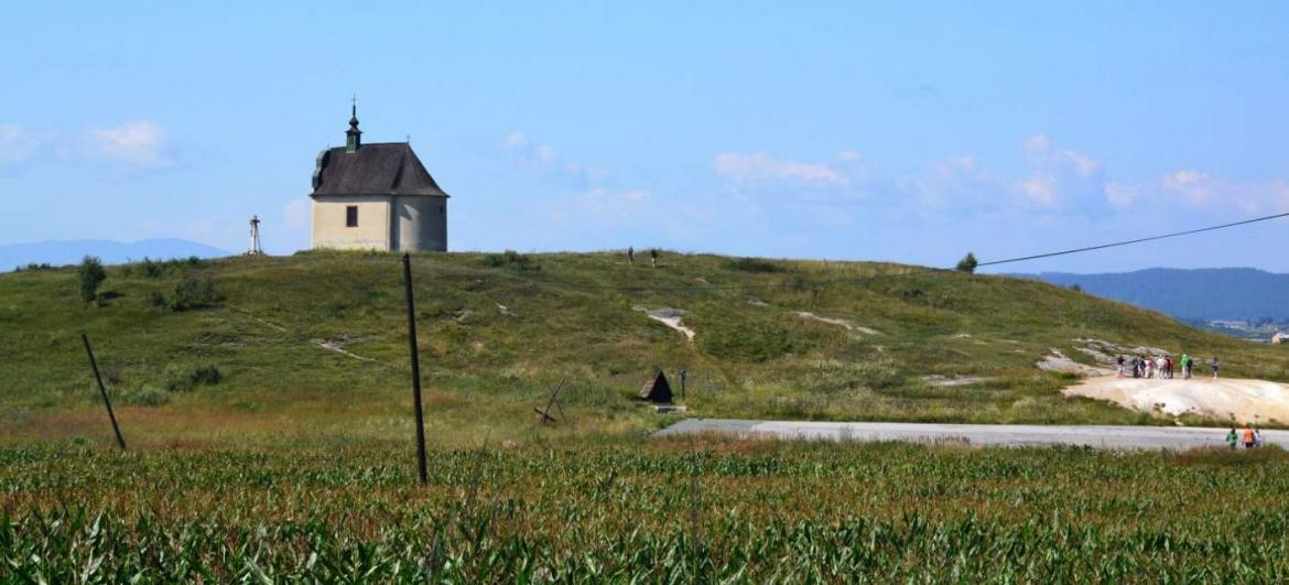 Sivá Brada