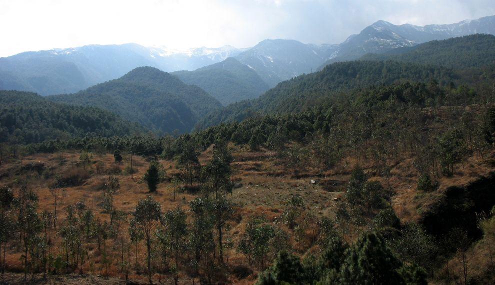 Masiv Cangshanu