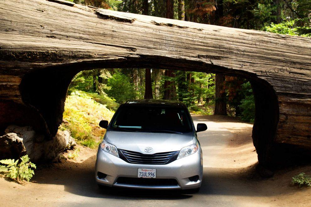 Tunnel Log