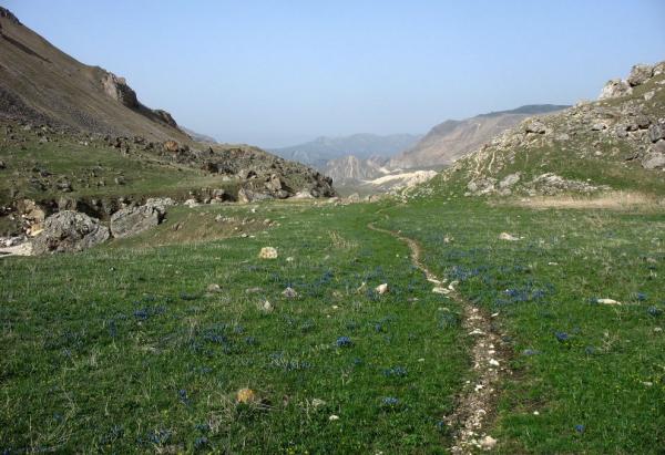 Laza nadohled
