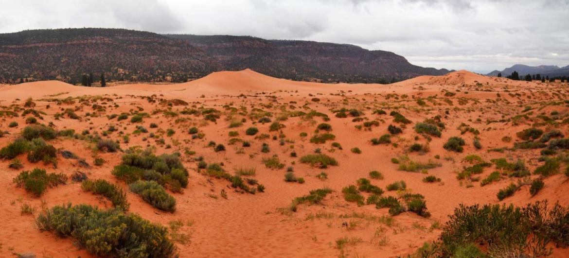 Coral Pink Sand Dunes State Park