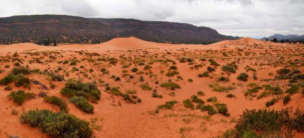 Coral Pink Sand Dunes State Park