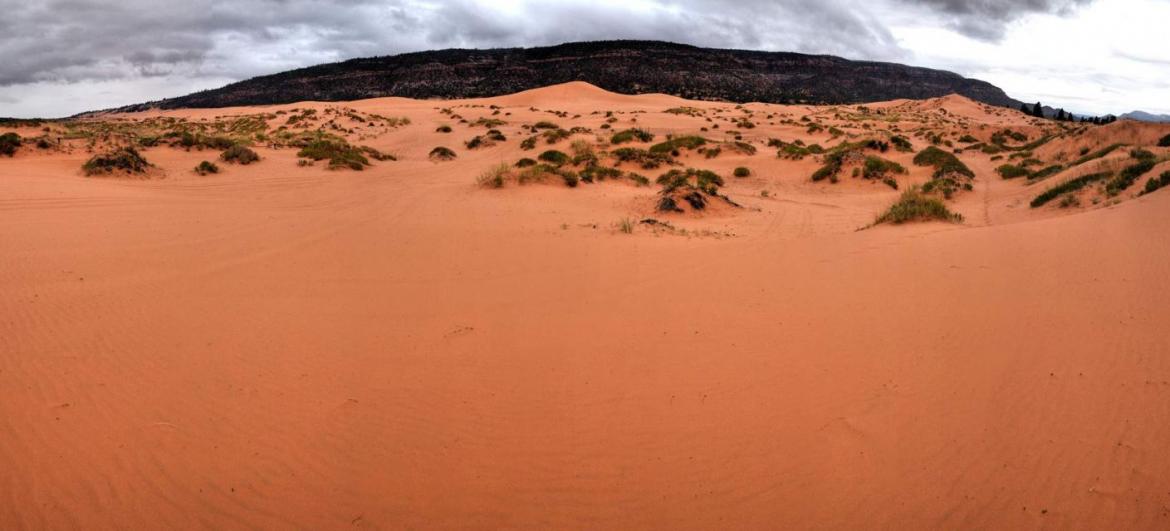 Výlet do Coral Pink Sand Dunes State Park