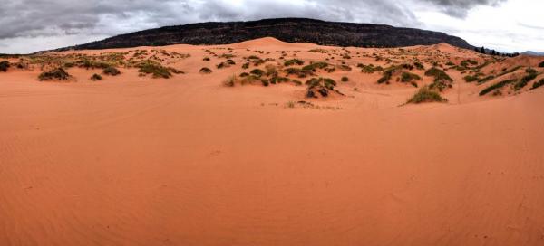 Výlet do Coral Pink Sand Dunes State Park