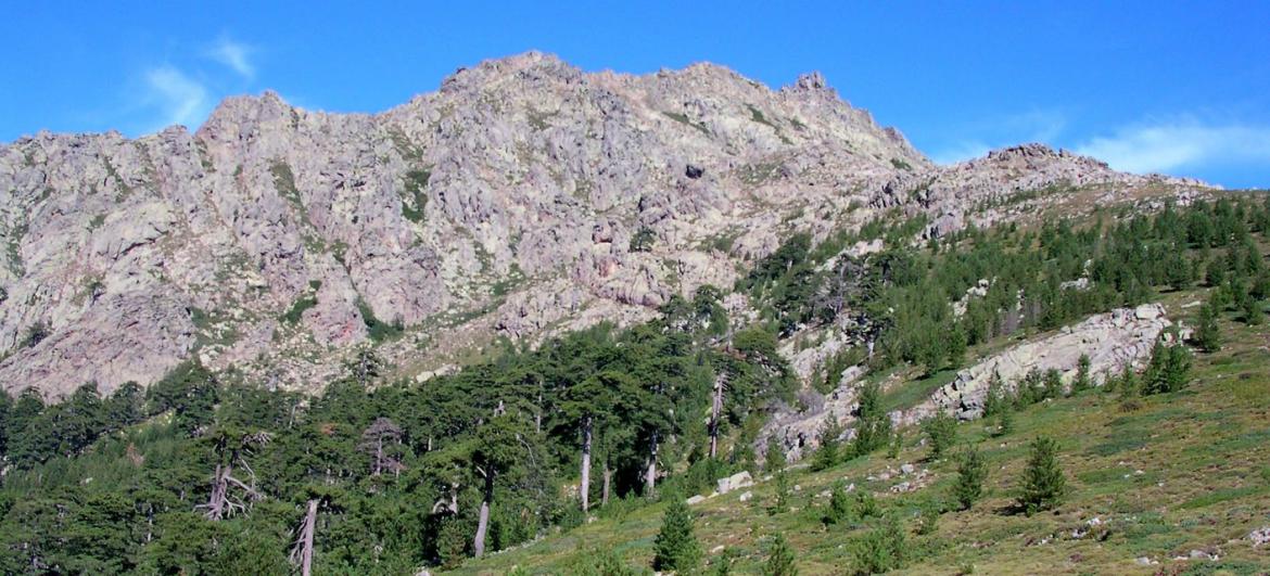 Průsmyk Col de Vergio