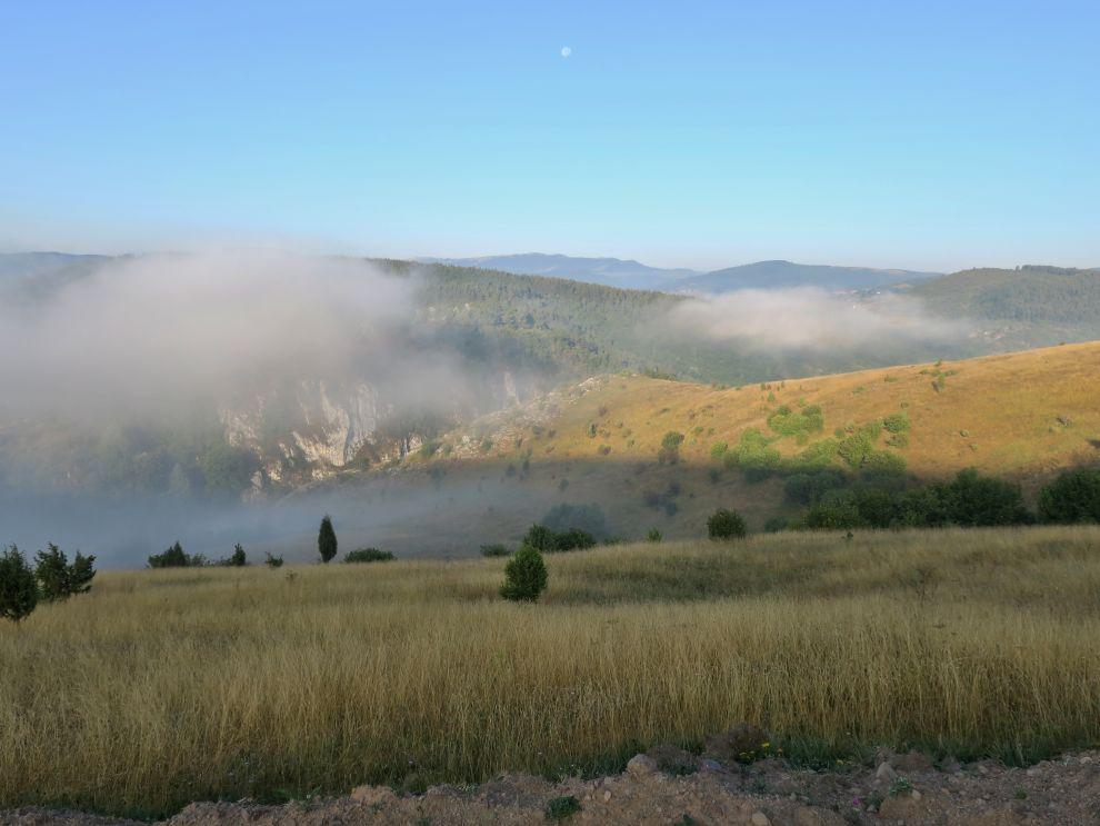 Ranní krajina