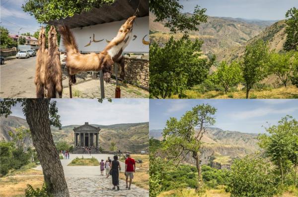 Garni
