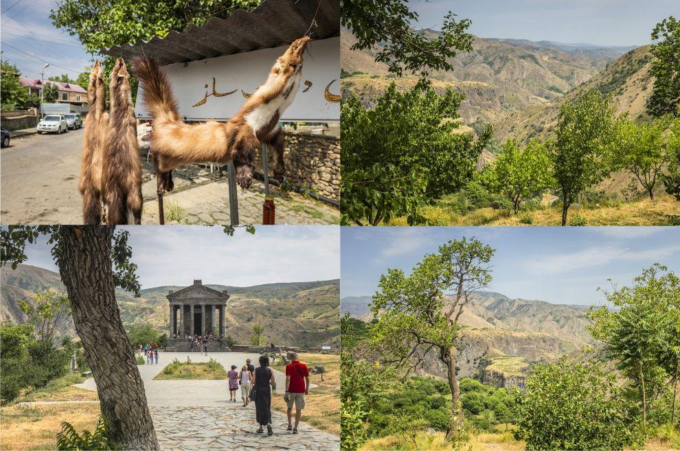 Garni
