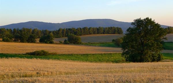 Ještěd´s ridge