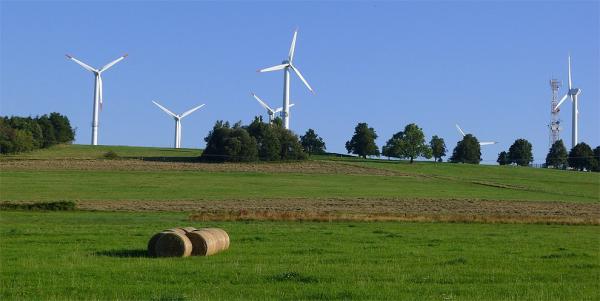 The top of Lysý vrch (“The Bald Hill”)