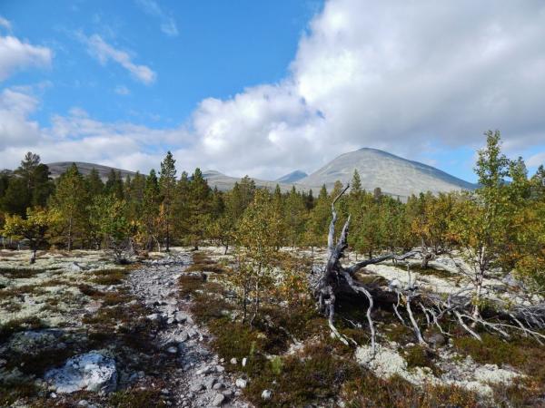 Cesta na vrchol Hoegronden